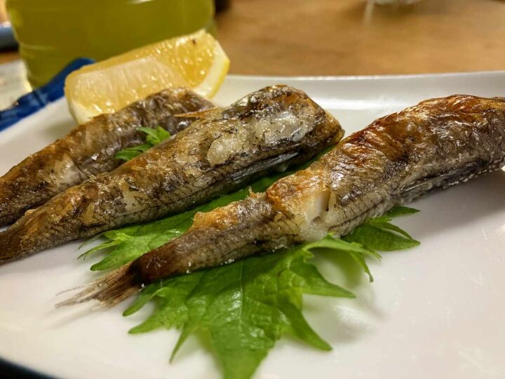 3尾並ぶめひかり