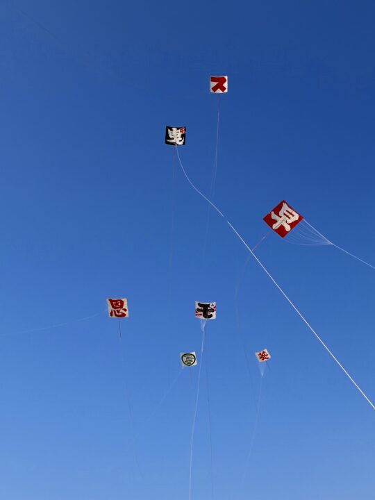 澄んだ空に安定して浮かぶ凧