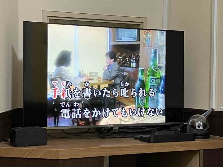 カネスエでツマミを買い込み山川豊を歌いにまねきねこ