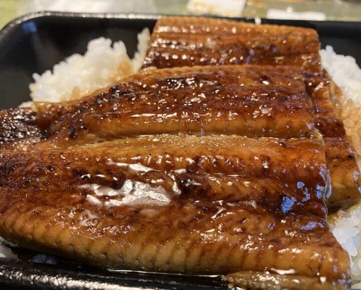 牛丼御三家 うなぎ食べ比べ  ふっくらした すき家の特うな丼