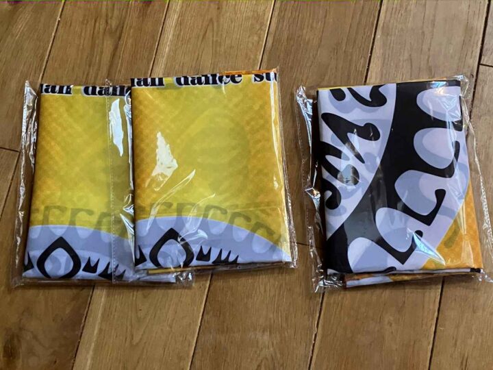 折りたたんだ状態でも発色は鮮やか