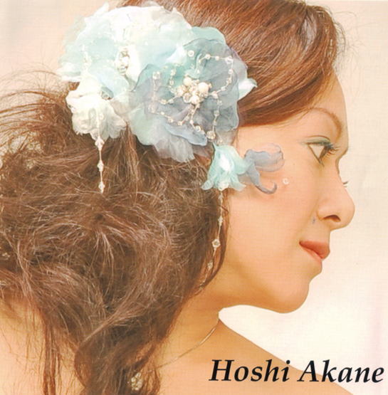 忘れたいのに　保志あかね