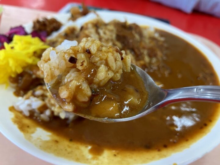 スプーンですくったカレーライスのアップ とろみのあるルーとごはん
