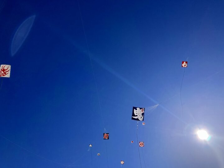 浜松まつり伝承会 会場全体と空に舞う多くの凧