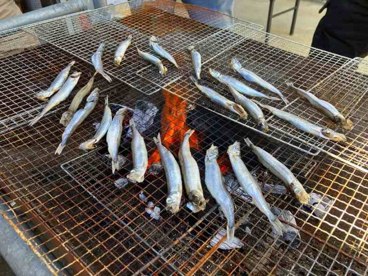 BBQ 炭火で焼くししゃも