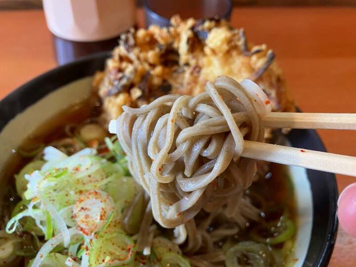 箸で持ち上げた信州そば イイダヤ軒