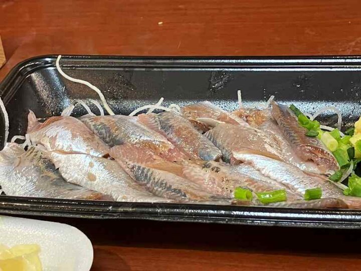 由比産真イワシの刺身新鮮な銀色の身