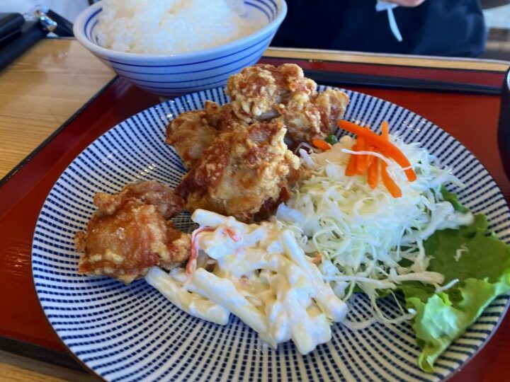 唐揚げとサラダの定食