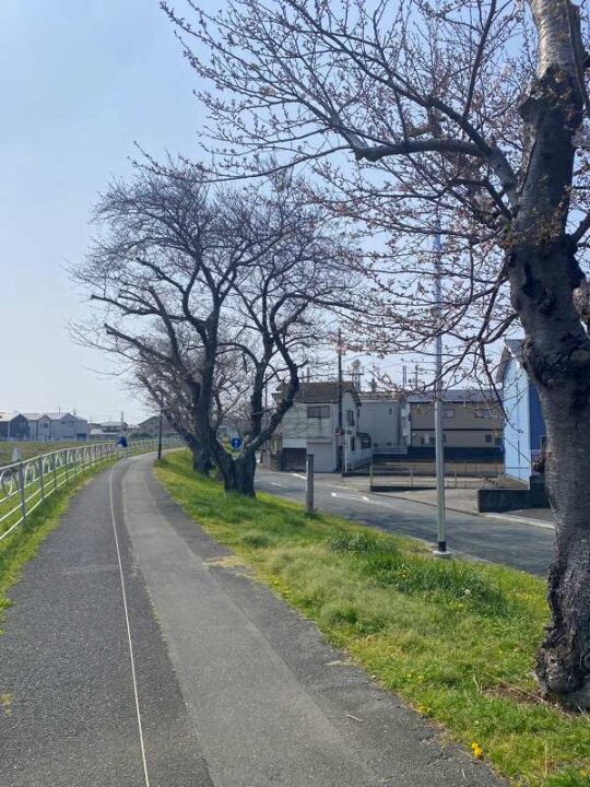 堤防の長い直線を活かし、糸のクセやねじれを取り除く。