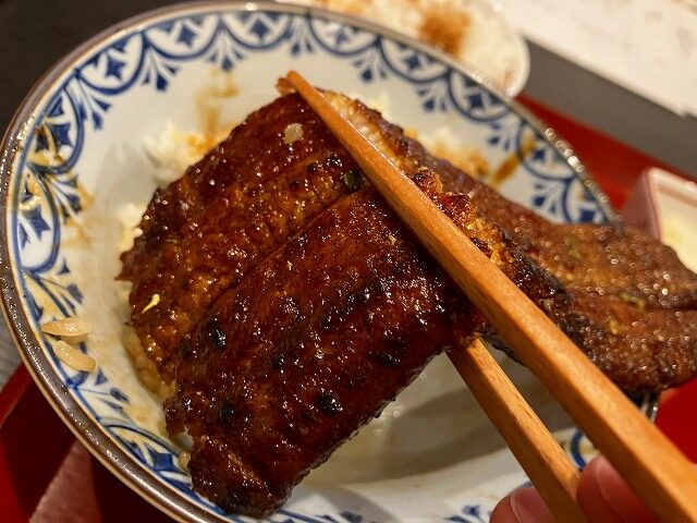 肉厚一本うなぎ丼の全景