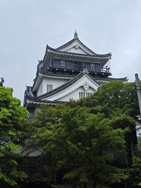 新緑越しに見上げる岡崎城天守