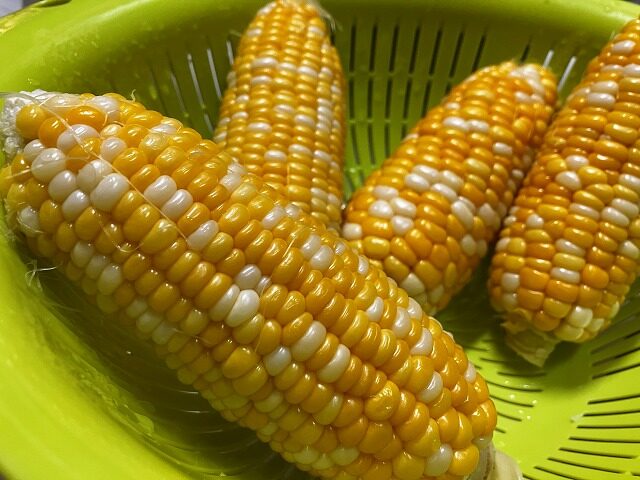 甘みたっぷりのレンちんコーンの粒を近くで撮影した様子
