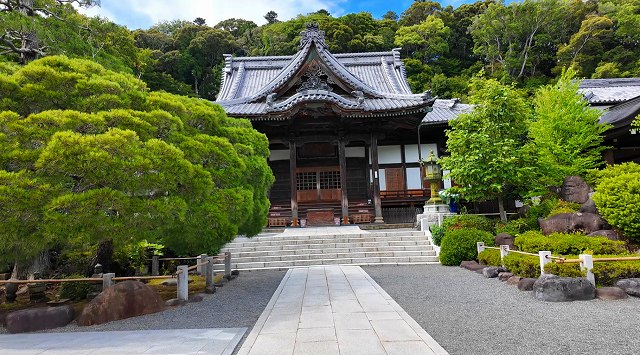 緑の森を背に美しく佇む修禅寺の歴史ある立派な本堂