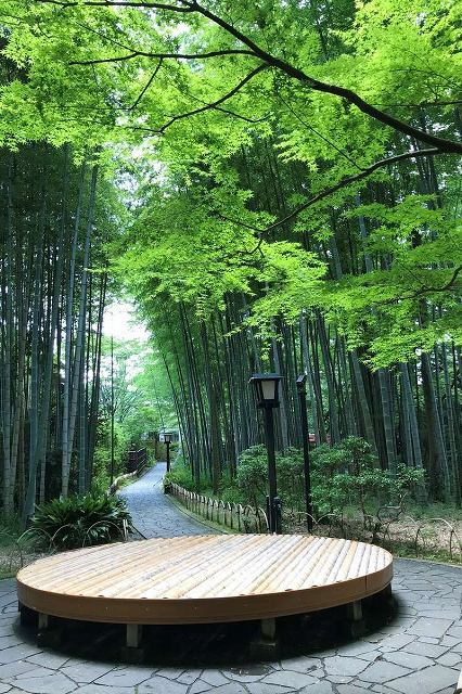 竹林の小路にある円形のベンチ