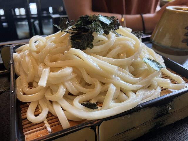 ざるうどんの麺アップ