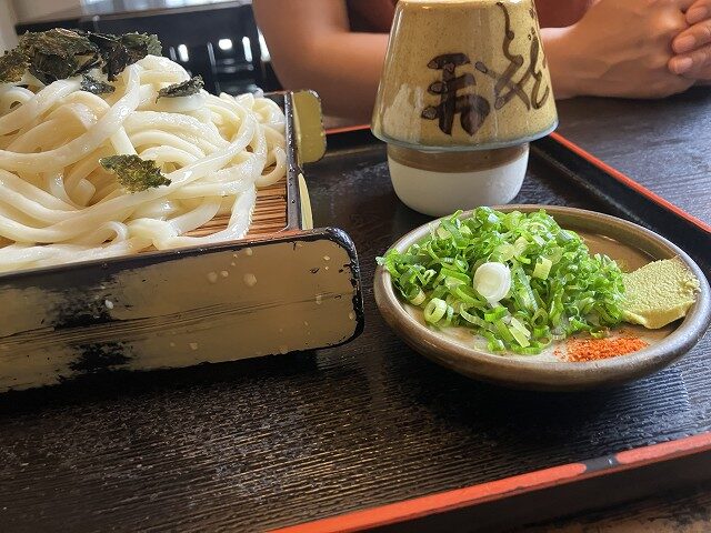 ざるうどんと薬味