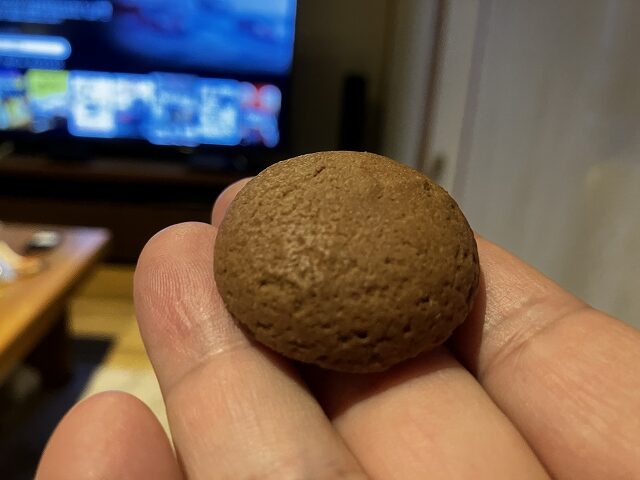手のひらにのせたセイウチのふんチョコクッキー