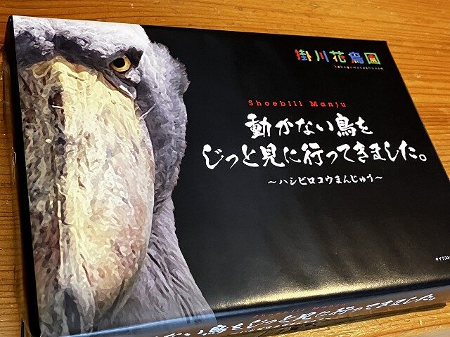 掛川花鳥園で見つけたハシビロコウ饅頭の土産