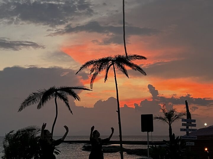 ヤシの木のシルエットと夕焼け。