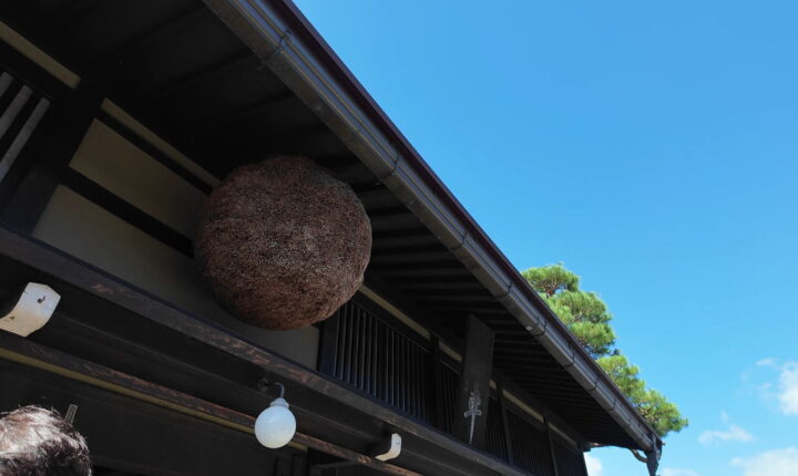 伝統的な日本家屋の軒下に吊るされた大きな茶色の杉玉と澄み渡る青空